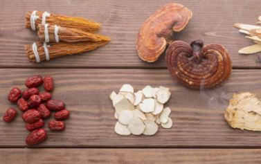 傳承藥食同源，衍生健康入選鐵皮石斛、西洋參、靈芝藥食同源首批試點(diǎn)